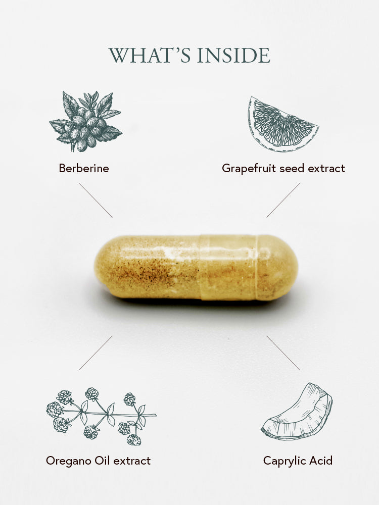 Philip Weeks BIOME D-TOX ingredients