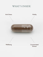 Philip Weeks REISHI MUSHROOM EXTRACT benefits