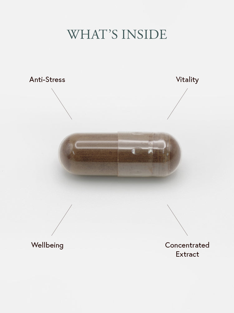 Philip Weeks REISHI MUSHROOM EXTRACT benefits