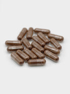 Philip Weeks REISHI MUSHROOM EXTRACT tablets
