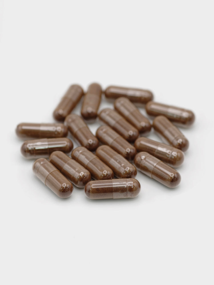 Philip Weeks REISHI MUSHROOM EXTRACT tablets