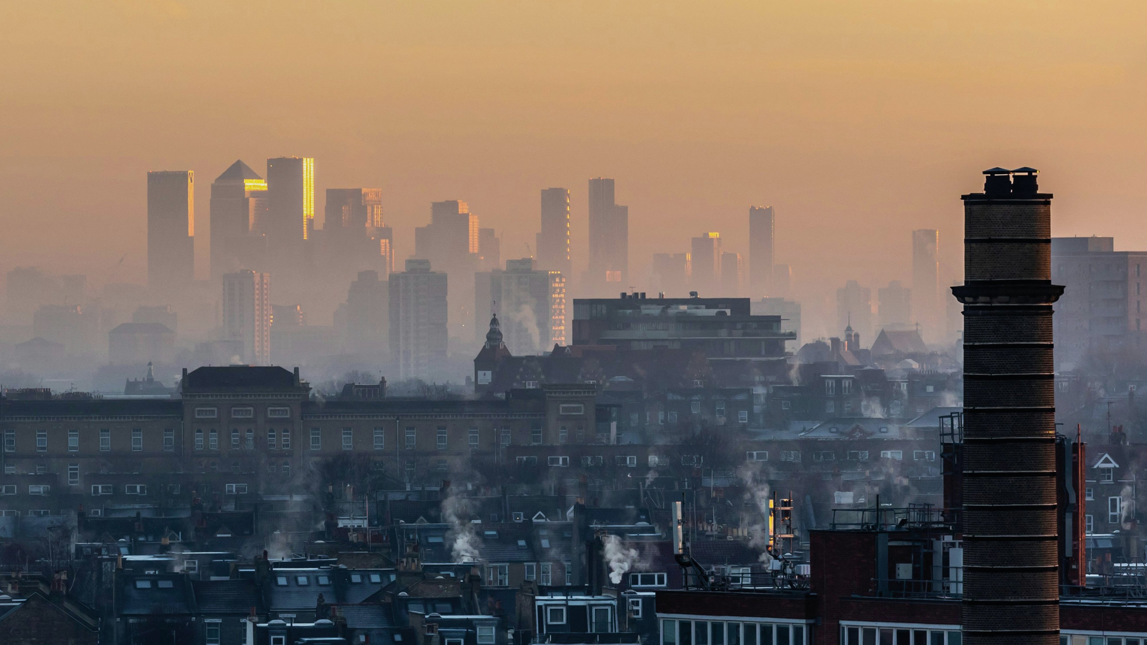 Can vitamins protect us from air pollution?