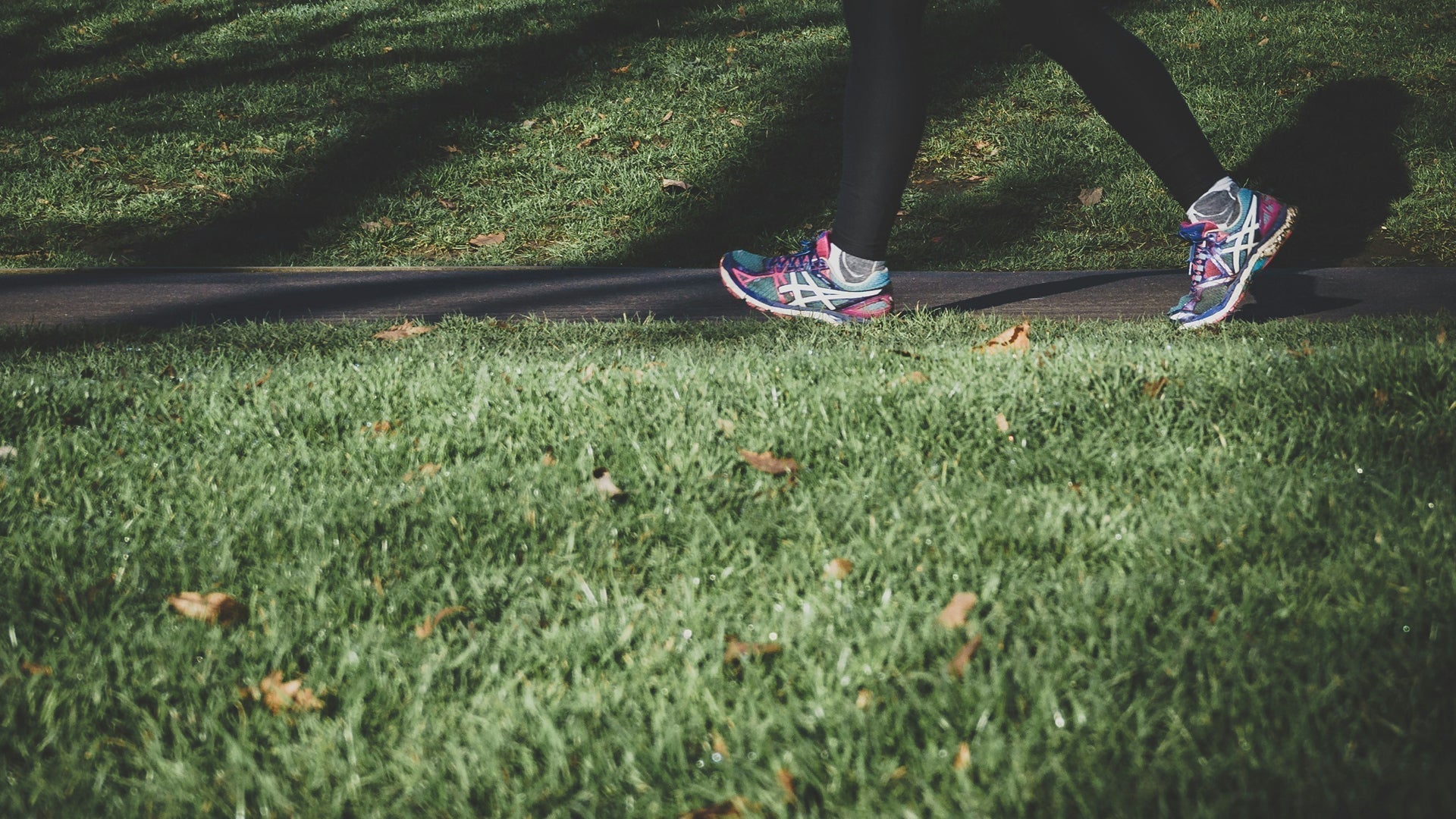 The Gut Bacteria Linked with Weight, Inflammation and Metabolic Health